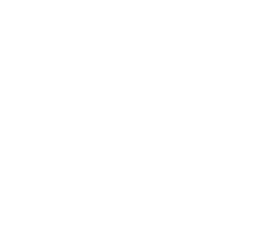 NDSFF_Logo